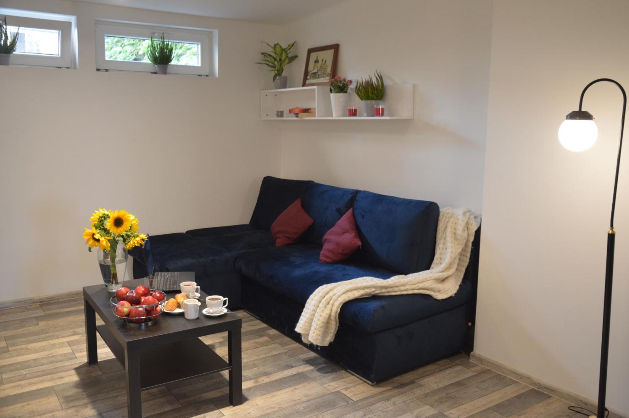 Central Wawel Apartments クラクフ エクステリア 写真